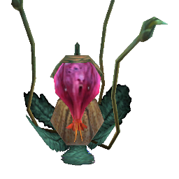 Trapper Plant