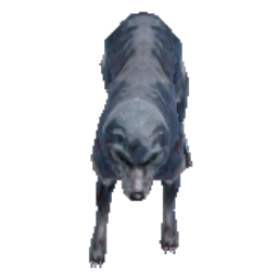 Awakened Cold Wolf